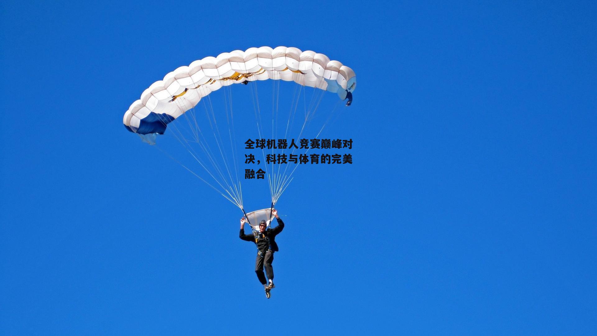 全球机器人竞赛巅峰对决,科技与体育的完美融合